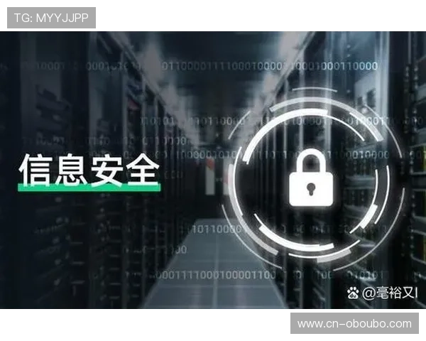 欧博代理商查询入口安全性分析，保障你的信息安全与隐私保护