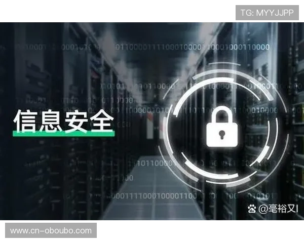 欧博官方网址安全保障措施，介绍平台如何保障用户信息安全与交易安全的详细措施