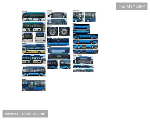 欧博官网入口导航最新动态及时掌握官网入口变动与官方公告信息