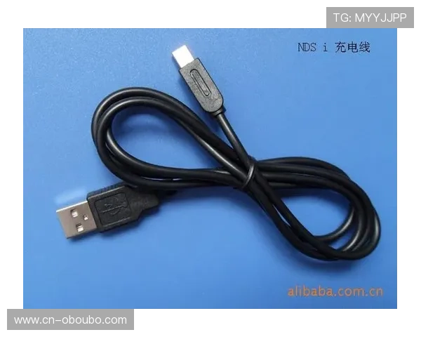 如何准确查询欧博代理系统官方入口网址确保账号安全与顺利登录