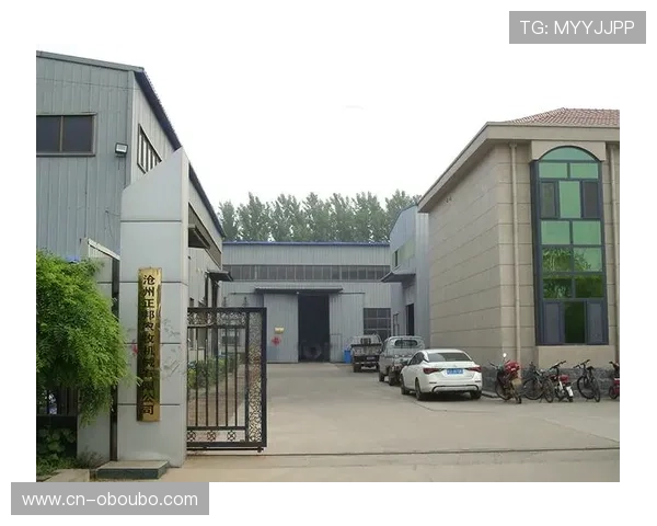 掌握欧博代理系统官方入口网址查询技巧提升游戏体验与账号安全保障